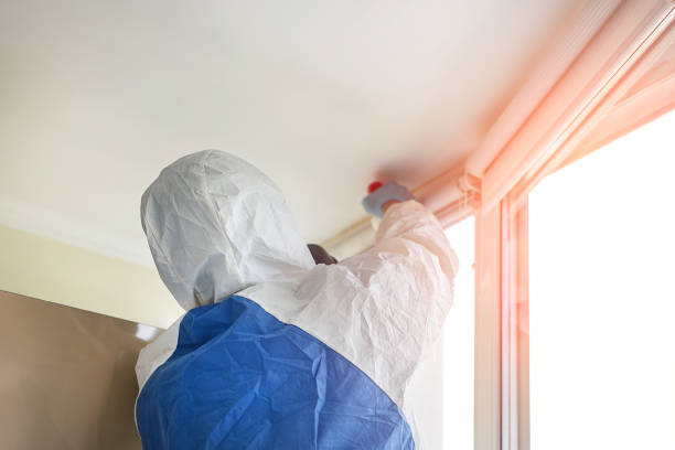 Trusted Front Royal, VA Mold Removal & Remediation Experts