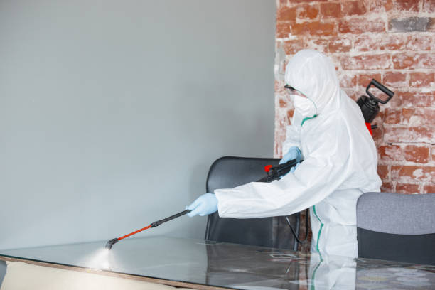 Best Industrial Mold Remediation  in Front Royal, VA